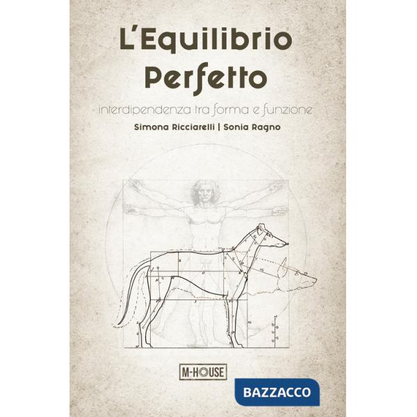Equilibrio perfetto. Interdipendenza tra forma e funzione (L')