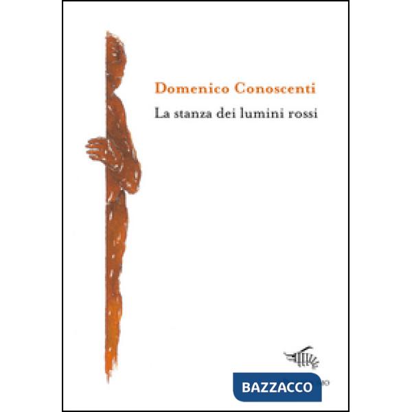 Stanza dei lumini rossi (La)