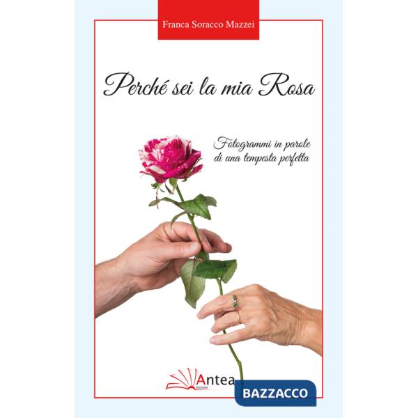 Perché sei la mia Rosa. Fotogrammi in parole di una tempesta perfetta