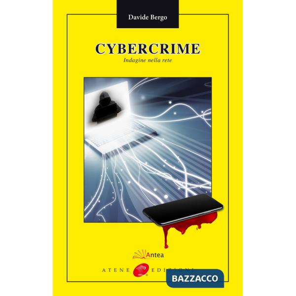 Cybercrime. Indagine nella rete