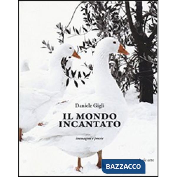 Mondo incantato. Immagini e poesie. Ediz. illustrata (Il)