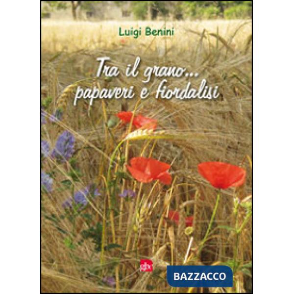 Tra il grano... papaveri e fiordalisi