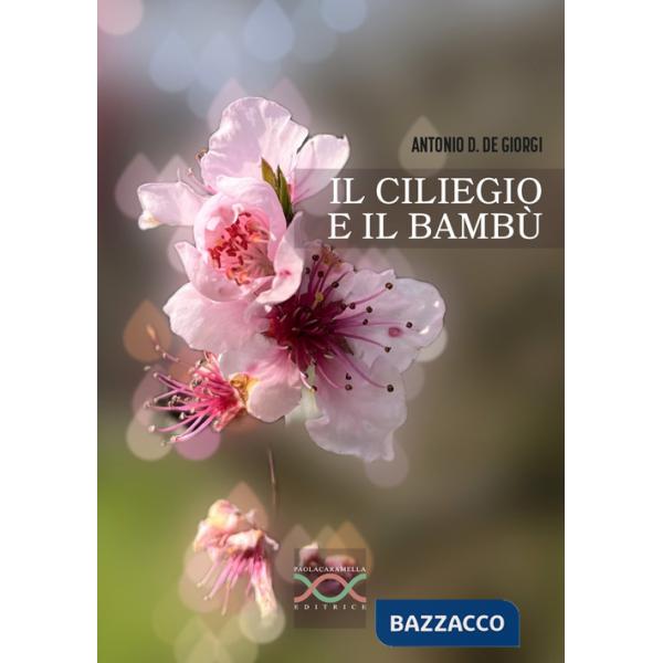 Ciliegio e il bambù (Il)
