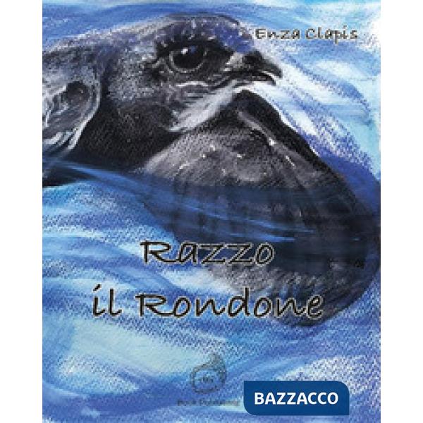 Razzo il rondone