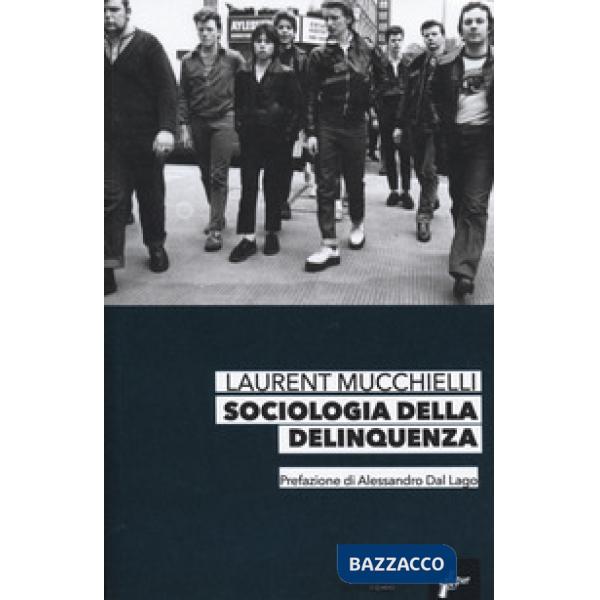 Sociologia della delinquenza
