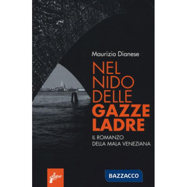 Nel nido delle gazze ladre. Il romanzo della mala veneziana