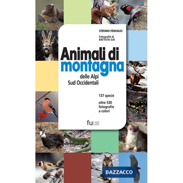 Animali di montagna delle Alpi sud occidentali. Ediz. illustrata