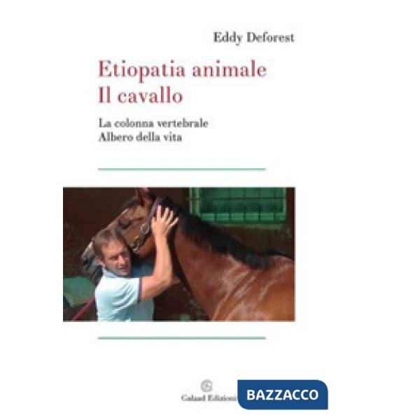 Etiopatia animale. Il cavallo. La colonna vertebrale albero di vita
