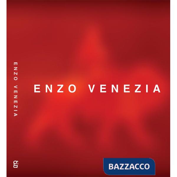 Enzo Venezia. Pitture, video, installazioni. Ediz. illustrata