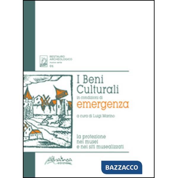 Beni culturali in condizioni di emergenza. La protezione nei musei e nei siti mu