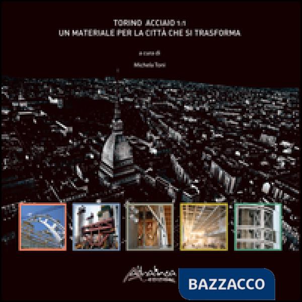 Torino acciaio 1:1. Un materiale per la città che si trasforma