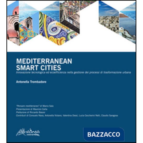 Mediterranean smart cities. Innovazione tecnologica ed ecoefficienza nella gestione dei processi di trasformazione urbana. Ediz.
