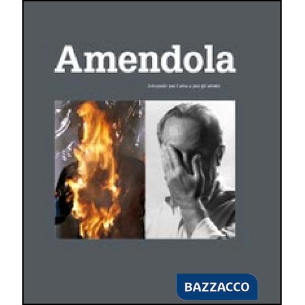 Aurelio Amendola. Fotografo per l'arte e per gli artisti. Ediz. illustrata