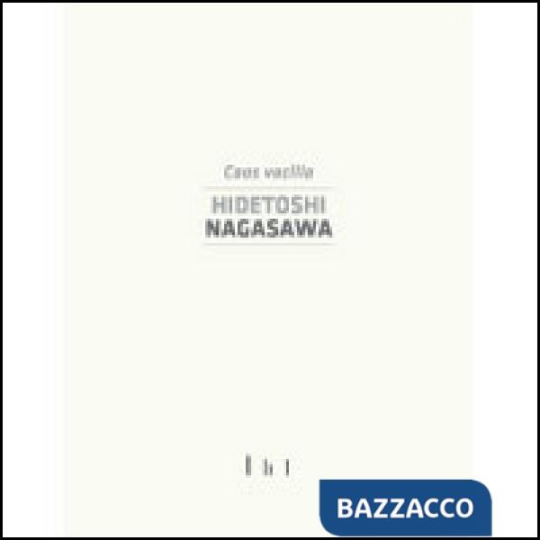 Hidetoshi Nagasawa. Catalogo della mostra (Cassino, 9 maggio 2014-28 settembre 2014). Ediz. illustrata
