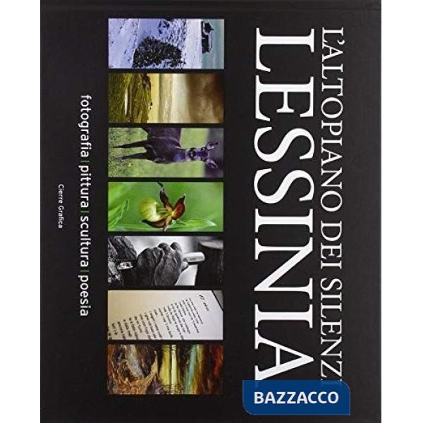 Altopiano dei silenzi Lessinia. Ediz. illustrata (L')