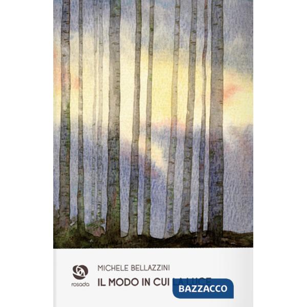 Modo in cui la luce (Il)