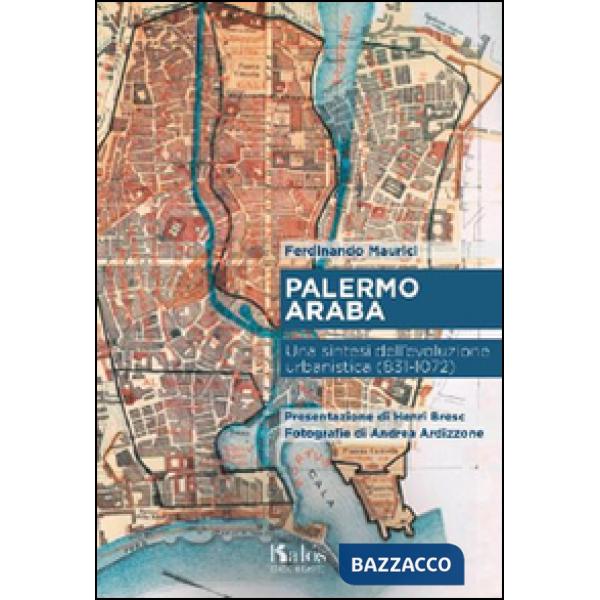 Palermo araba. Una sintesi dell'evoluzione urbanistica (831-1072)