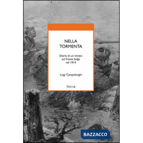 Nella tormenta. Diario di un inviato sul fronte belga nel 1914