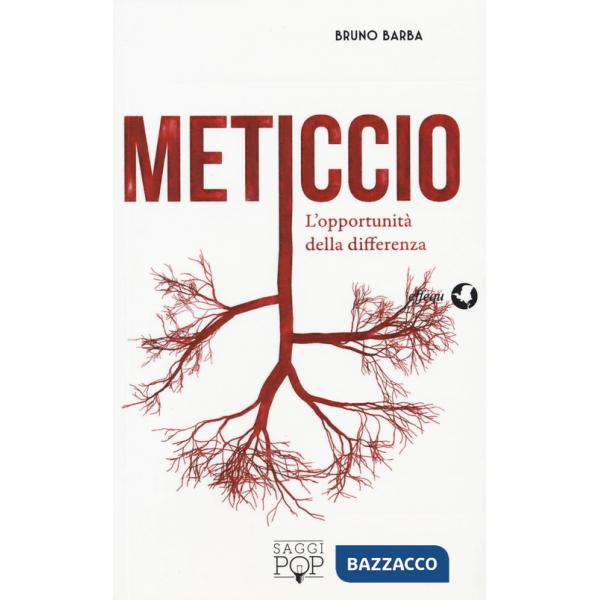 Meticcio. L'opportunità della differenza