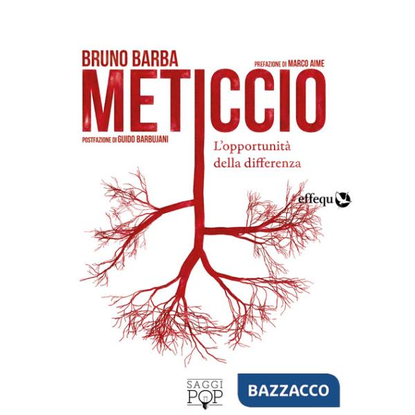 Meticcio. L'opportunità della differenza
