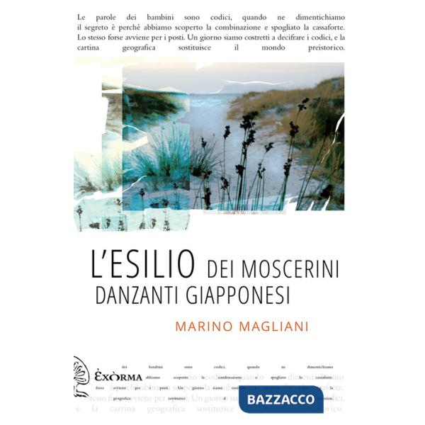 Esilio dei moscerini danzanti giapponesi (L')