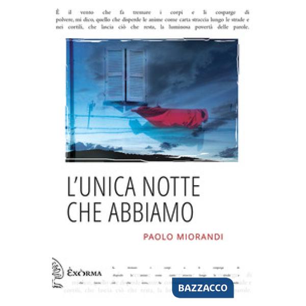 Unica notte che abbiamo (L')