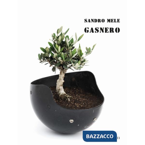 Gasnero. Catalogo della mostra. Ediz. italiana e inglese