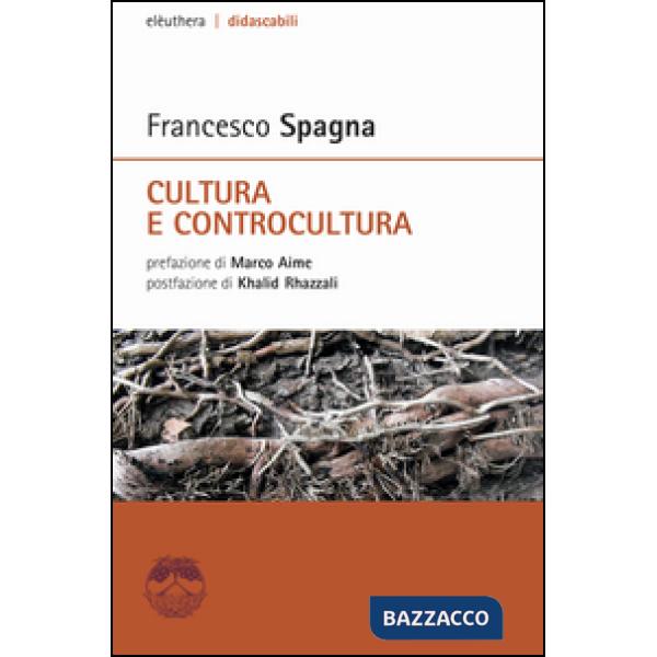 Cultura e controcultura