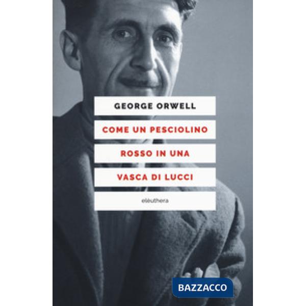 Come un pesciolino rosso in una vasca di lucci