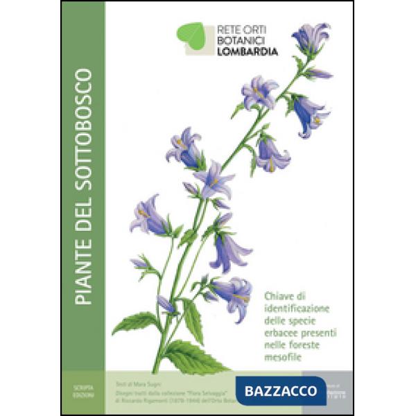 Piante del sottobosco. Chiave di identificazione delle specie erbacee presenti n