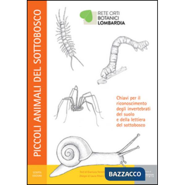 Piccoli animali del sottobosco. Chiavi per il riconoscimento degli invertebrati 