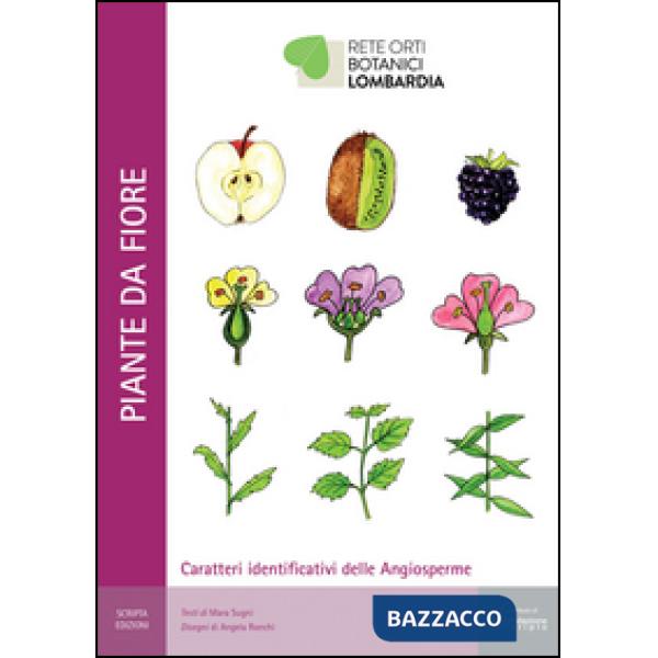 Piante da fiore. Caratteri identificativi delle angiosperme