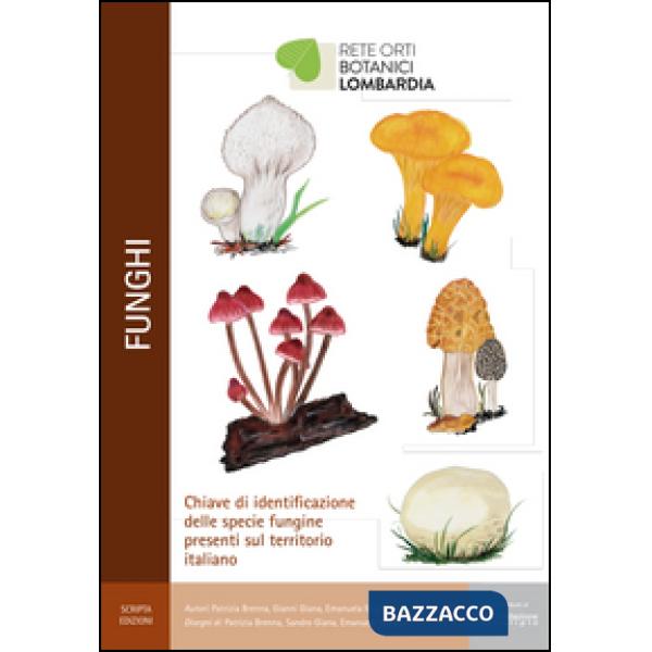 Funghi. Chiave di identificazione delle specie fungine presenti nel territorio i