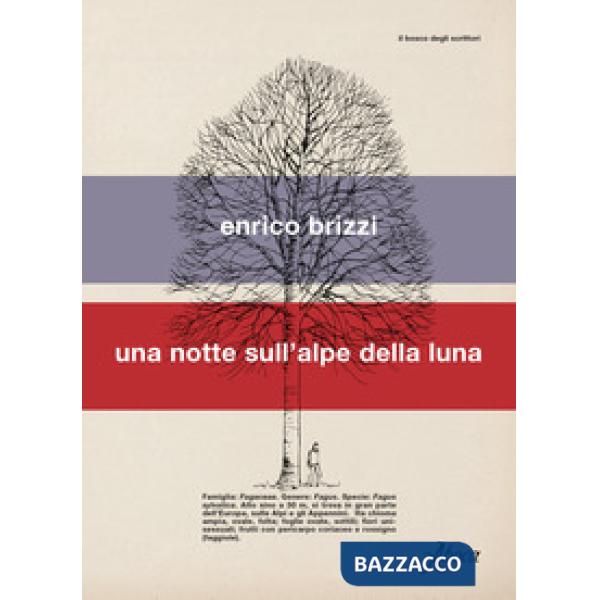 Notte sull'alpe della luna (Una)