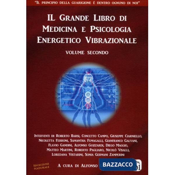 Grande libro di medicina e psicologia energetico vibrazionale (Il). Vol. 2