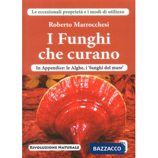 Funghi che curano (I)