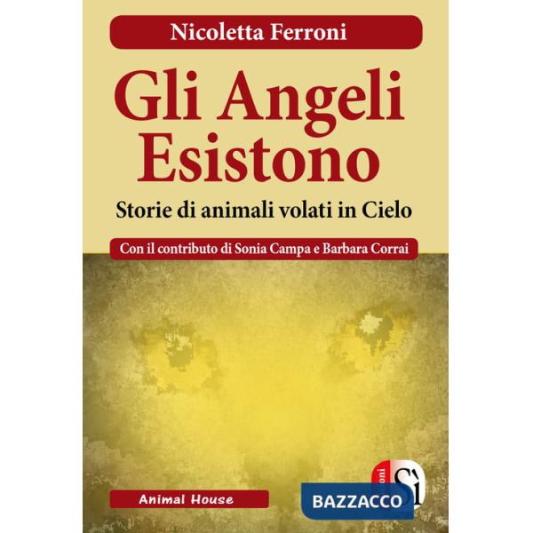 Angeli esistono. Storie di animali venuti dal cielo (Gli)