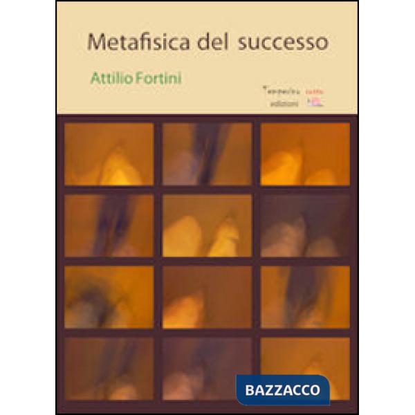 Metafisica del successo
