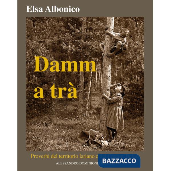 Damm a tra'. Proverbi del territorio lariano e del Canton Ticino