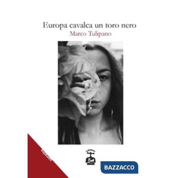 Europa cavalca un toro nero