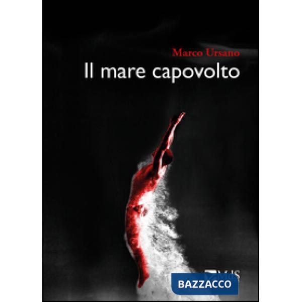 Mare capovolto (Il)