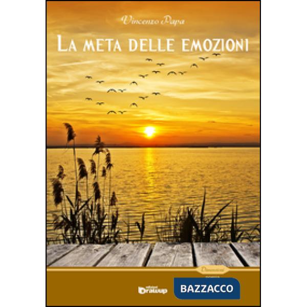 Meta delle emozioni e il mare dei sentimenti (La)