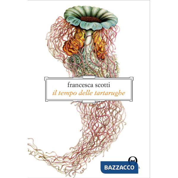 Tempo delle tartarughe (Il)