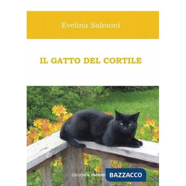 Gatto del cortile (Il)