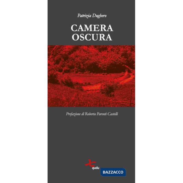 Camera oscura. Nuova ediz.