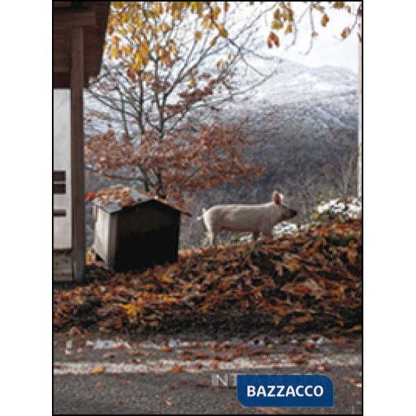 In t'la nudda. Ediz. illustrata