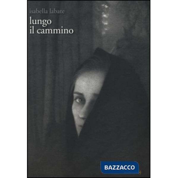 Lungo il cammino. Ediz. illustrata