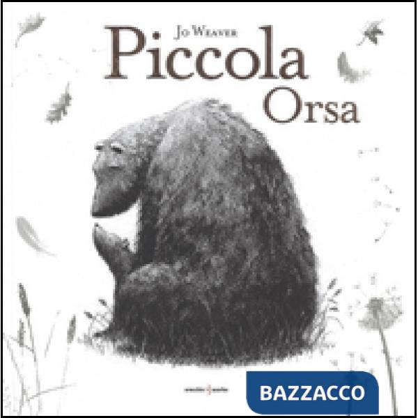 Piccola Orsa