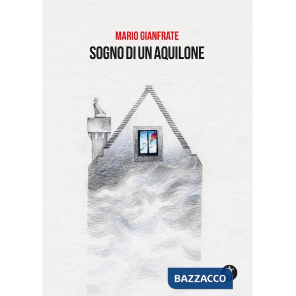 Sogno di un aquilone