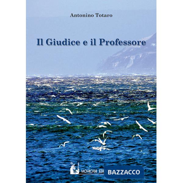 Giudice e il professore (Il)